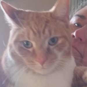 Meet your Posher, Brandi